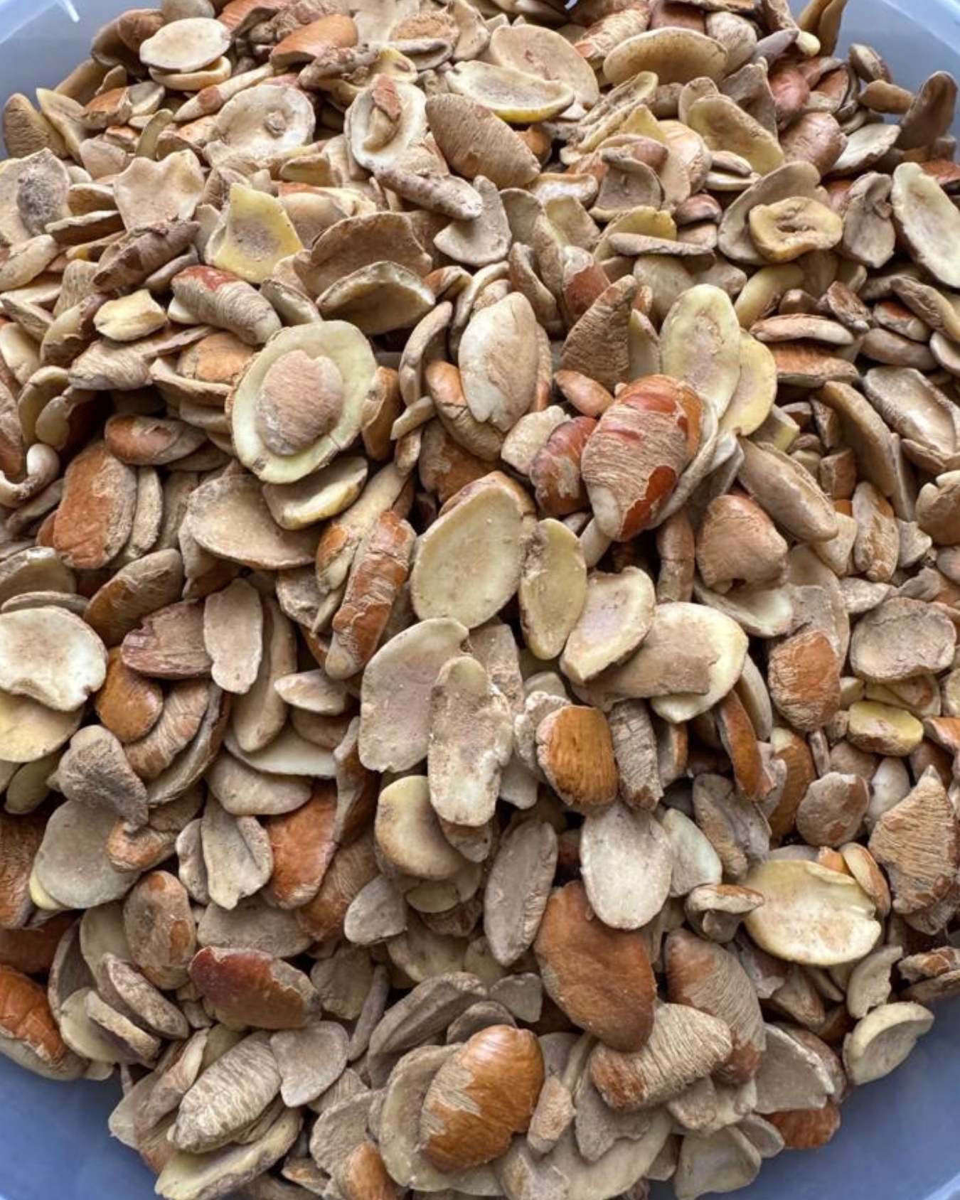 12 Ogbono seeds 250g - Image 1
