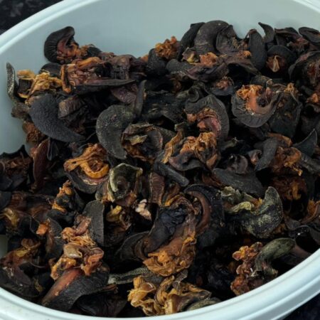 Oven-Dried Snails 200g