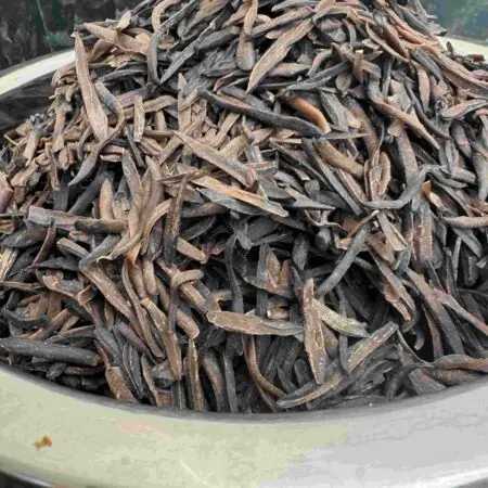 Ugba